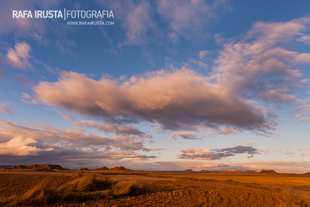 rirusta-20080327-1dm3-0619