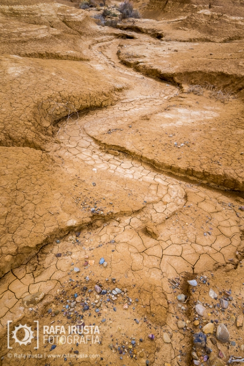 Bardenas Reales