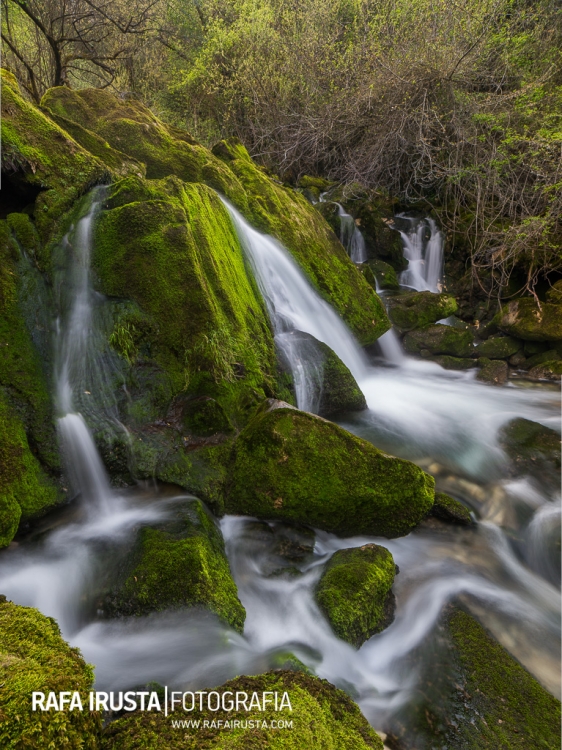 Flowing through the greens