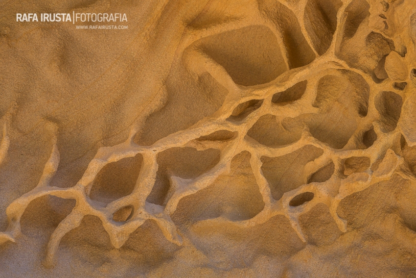 RIRUSTA-20150407-1DX-5575.jpg