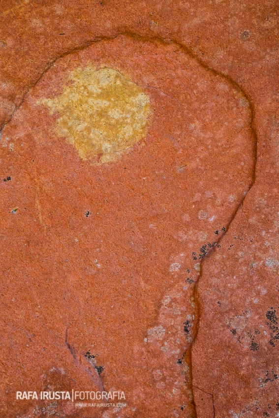 RIRUSTA-20150407-1DX-5603.jpg