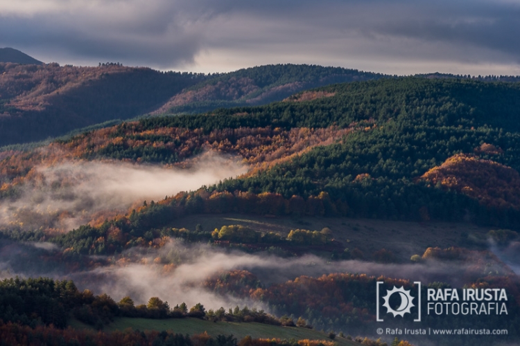 Selva de Irati, Navarra, Spain