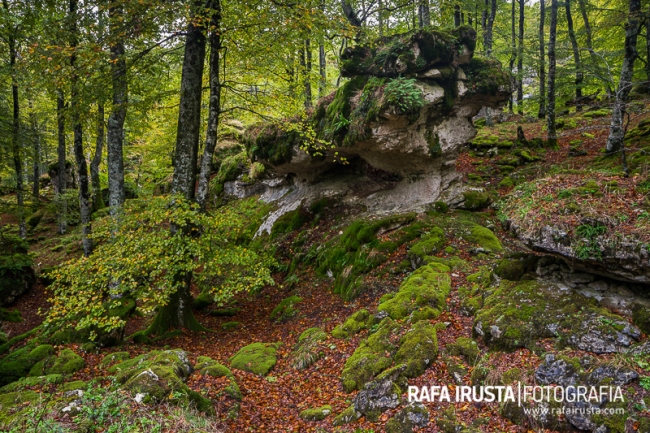 Sierra de Urbasa