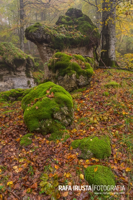 Rocks