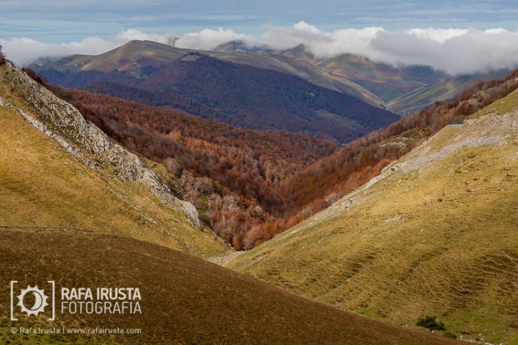 Otoño en Irati