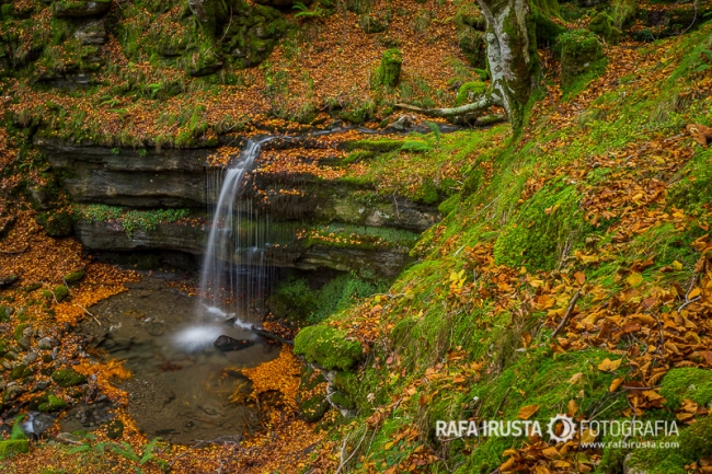 Autumn in Cantabria, Spain