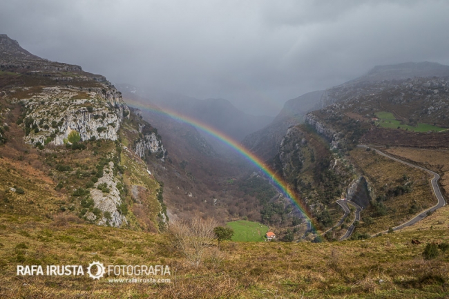 Raimbow