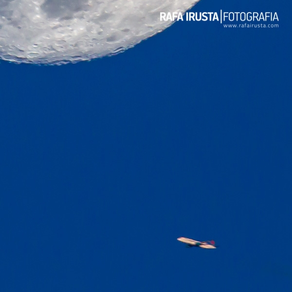 120504-1dm4-7963-crop