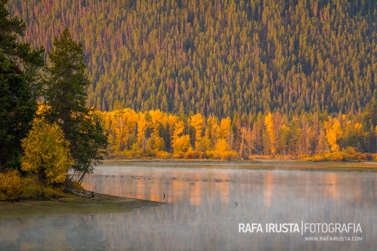 Sunrise light over Oxbow Bend