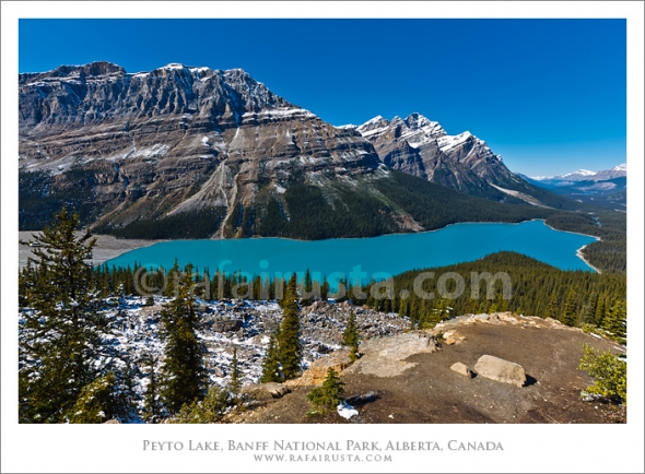 Peyto Lake, Banff National Park, Canada