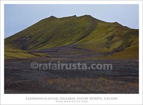 Landscape view. South Area, Iceland