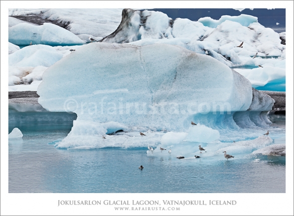 Jokulsarlon Glacial Lagoon, Vatnajokull, Iceland