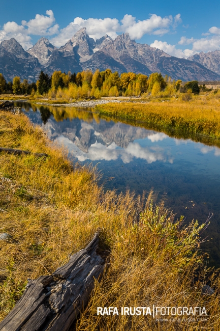 Schwabachers Landing