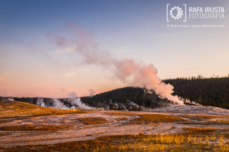 Old Faithful geyser eruption at sunrise