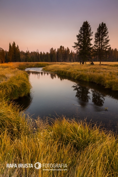 Gibbon Meadows sunrise