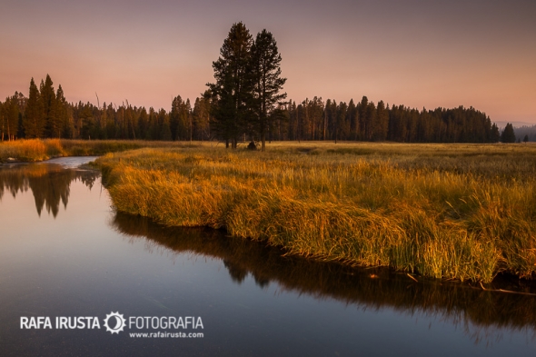 Gibbon Meadows
