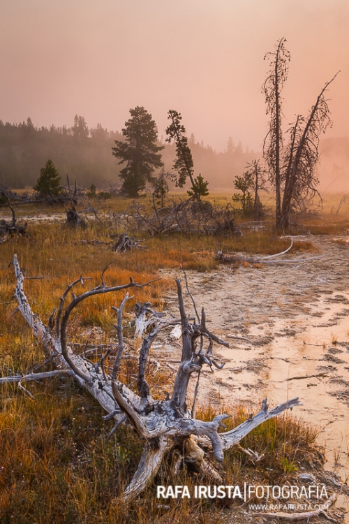 Mysterious atmosphere