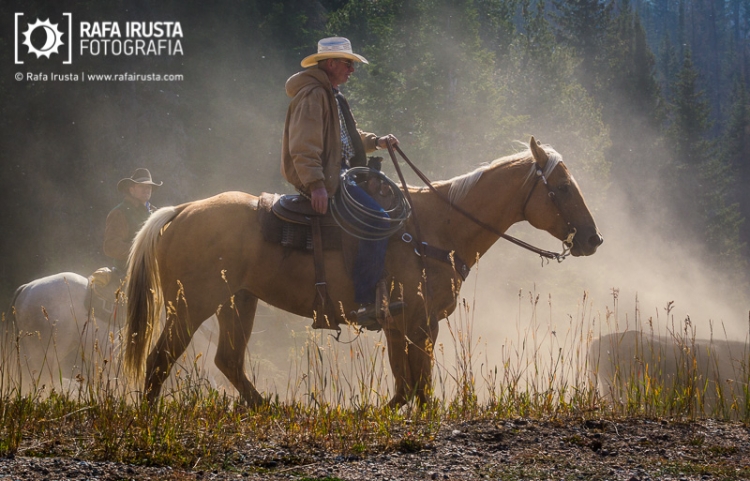Cowboys on horseback