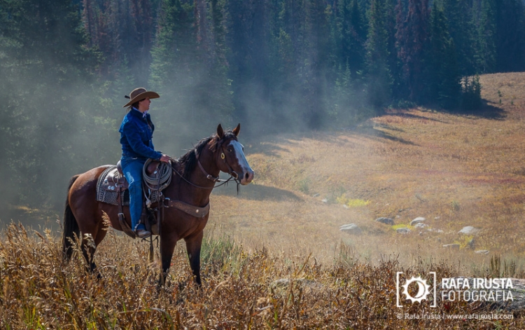 Cowgirl on horseback