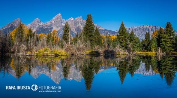 Schwabachers Landing