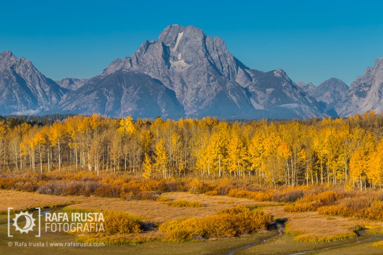Oxbow Bend