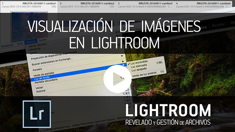 Visualización de imágenes en Lightroom