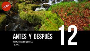 ANTES Y DESPUÉS [12]: Primavera en Gorbea, Bizkaia