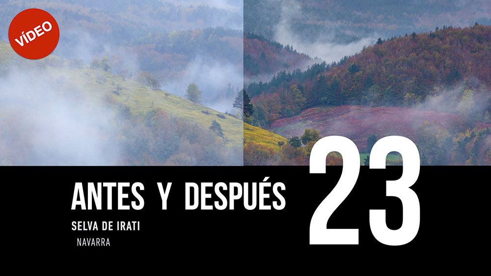 ANTES Y DESPUÉS [23]: Selva de Irati, Navarra