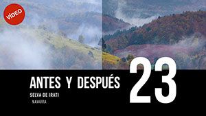 ANTES Y DESPUÉS [23]: Selva de Irati, Navarra