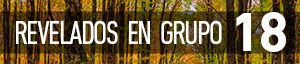 REVELADOS EN GRUPO [18]: Mata de Haya, Navarra