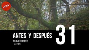 ANTES Y DESPUÉS [31]: Niebla en otoño