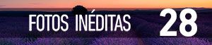 FOTOS INÉDITAS [28]: Campos de lavanda
