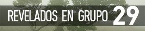 REVELADOS EN GRUPO [29]: Bosque de Fanal, Madeira