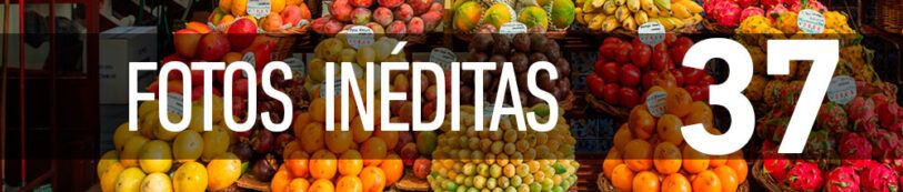FOTOS INÉDITAS [37]: Mercado dos Lavradores, Madeira