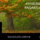 DH 118 Fotografiando paisajes de otoño