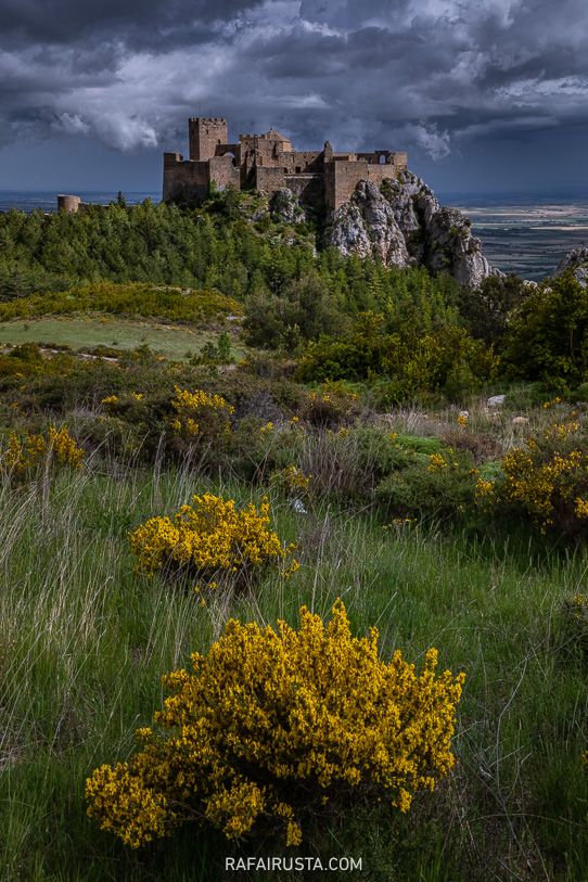 Rafa Irusta, foto 01