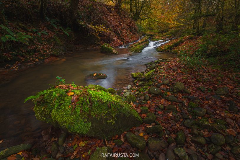 Rafa Irusta, foto 06
