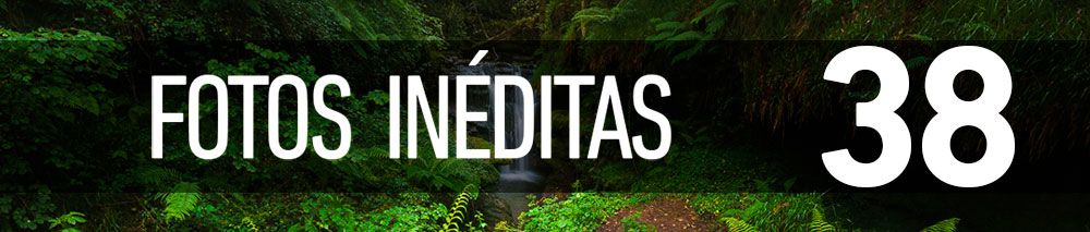 FOTOS INÉDITAS [38]: Entre bosques