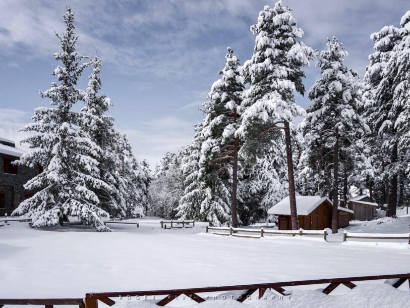 Roger Vivé, foto 01