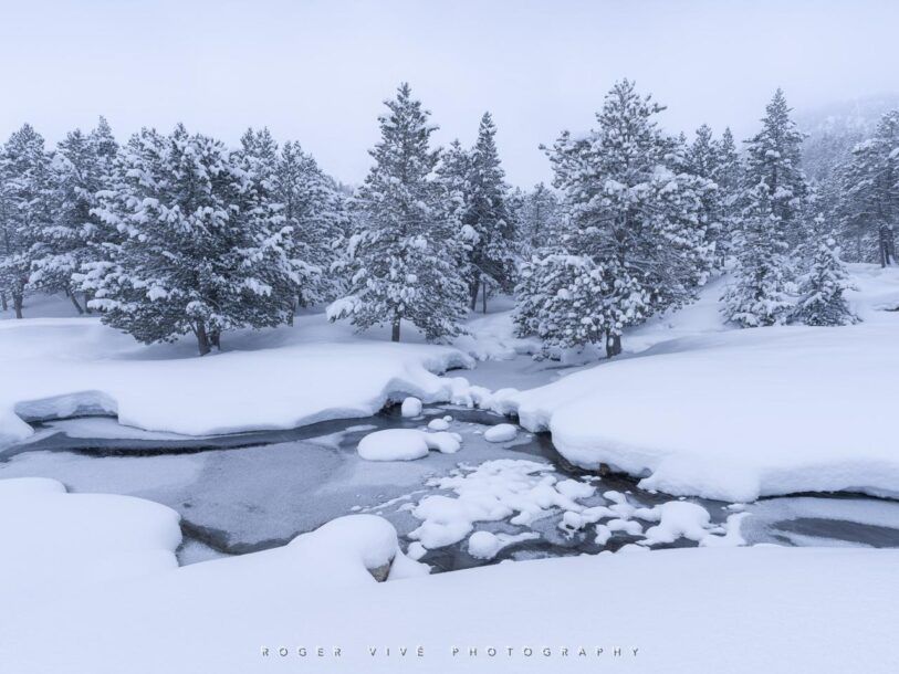 Roger Vivé, foto 03