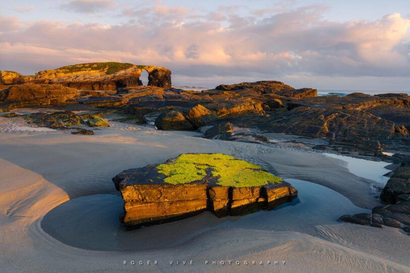 Roger Vivé, foto 04