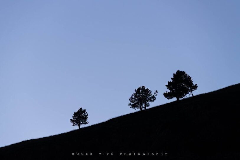 Roger Vivé, foto 07