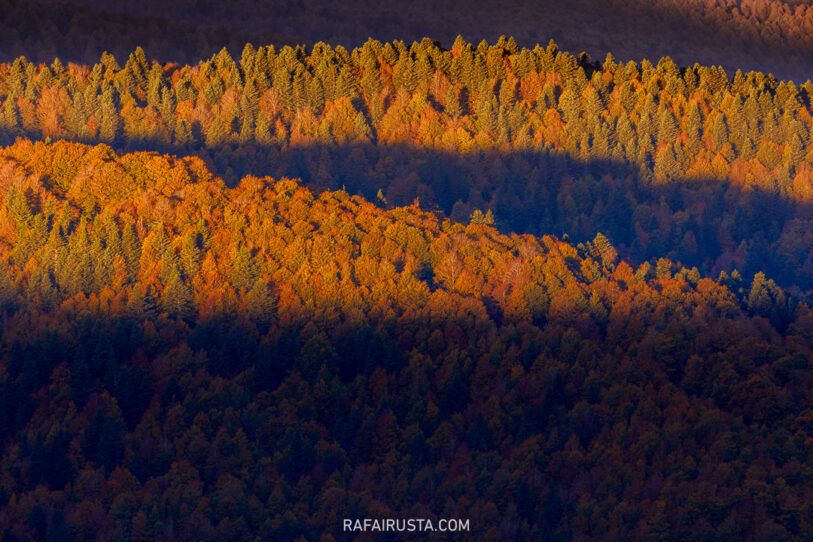 Fotografía de otoño 03-Rafa Irusta