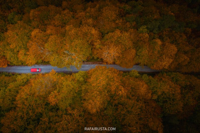 Fotografía de otoño 04-Rafa Irusta