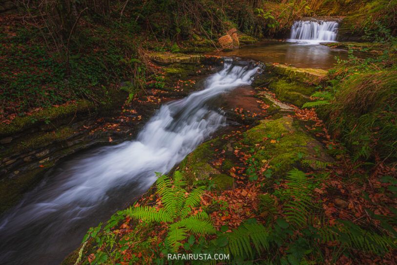 Fotografía de otoño 05-Rafa Irusta