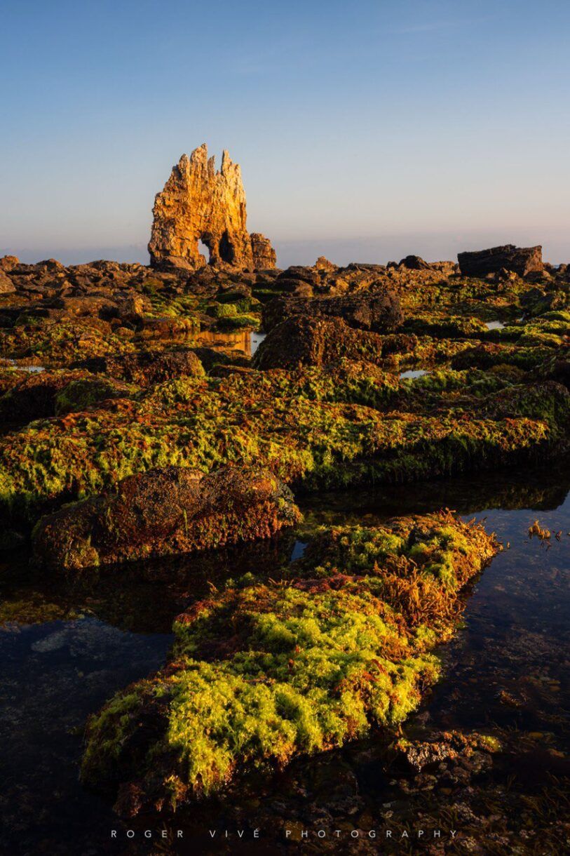 Roger Vivé, foto 00