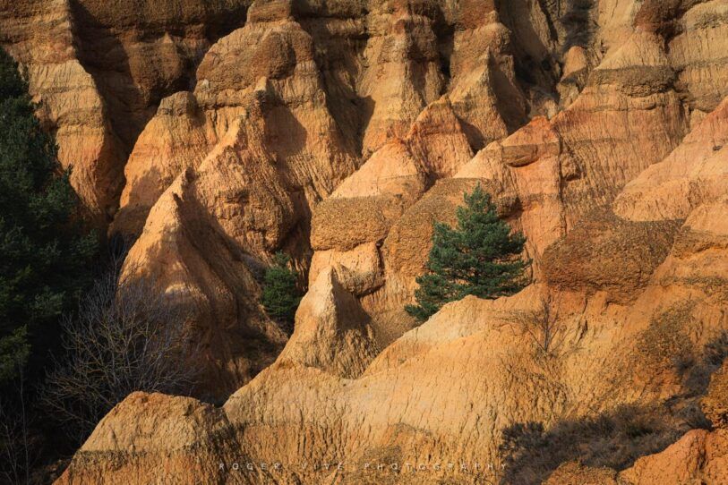 Roger Vivé, foto 01