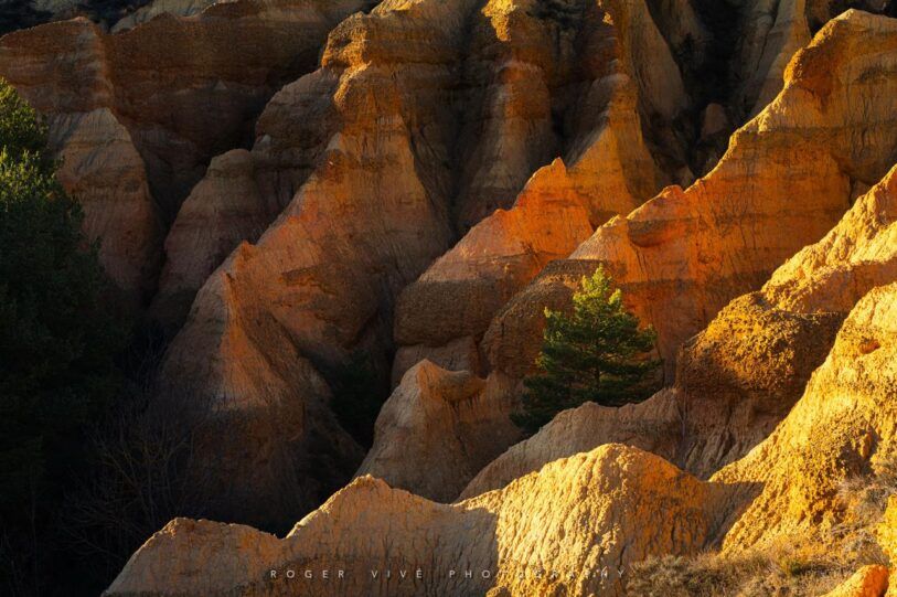 Roger Vivé, foto 02