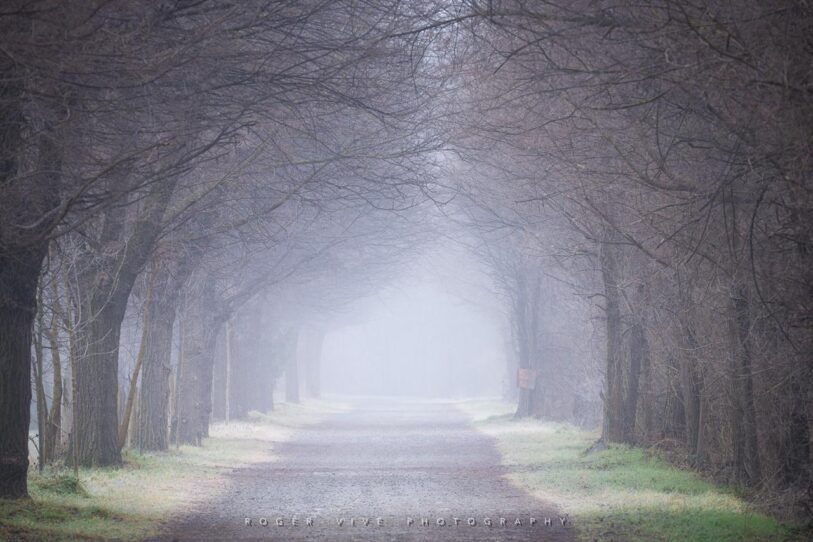 Roger Vivé, foto 03