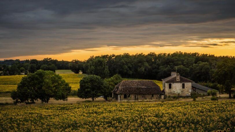 Roger Vivé, foto 04